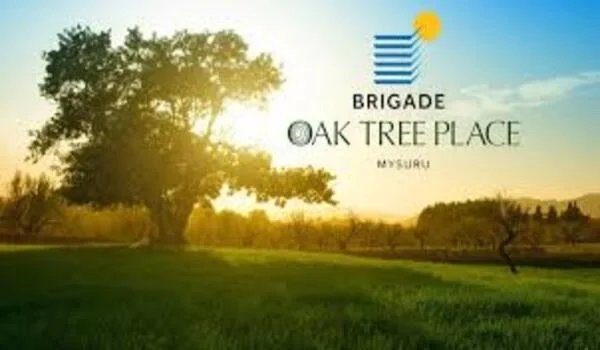 Brigade Oak Tree