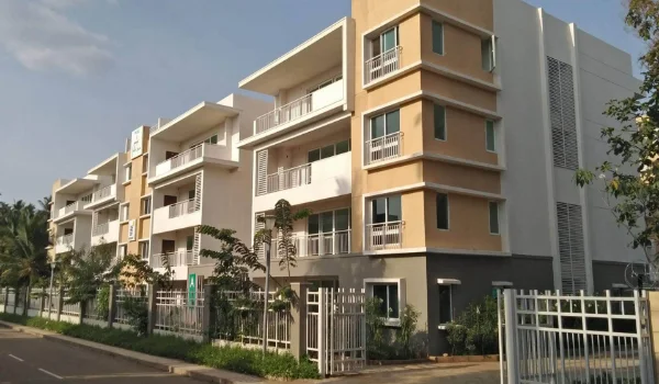 Brigade Palmgrove