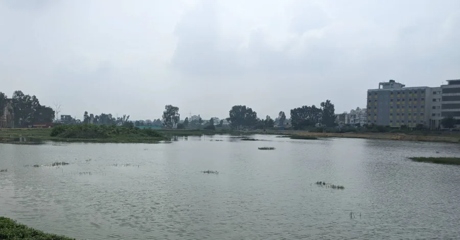 Katamanallur Lake in Sannatammanahalli, off Whitefield-Hoskote Road, East Bangalore