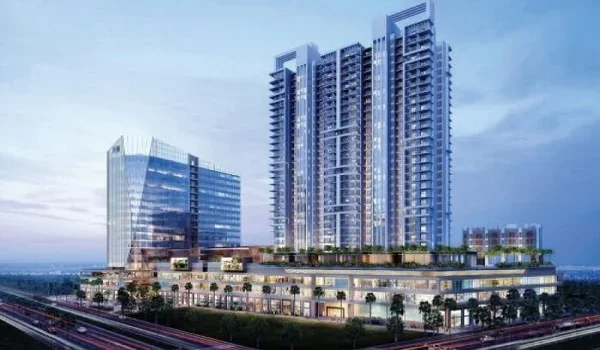 Prestige Evergreen